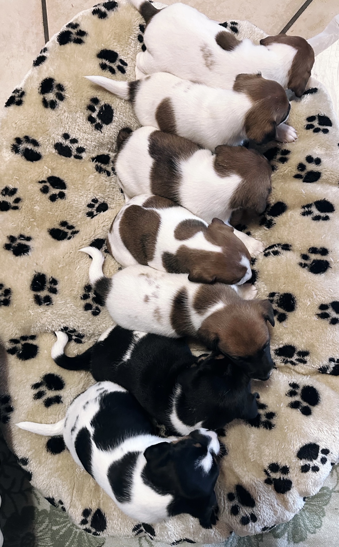 75A8F552-2FCC-4894-A480-4C1DD32B3084