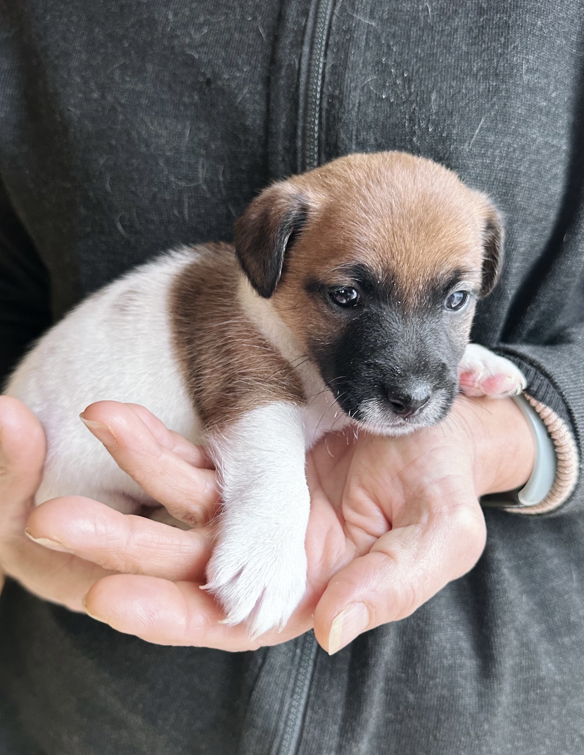 8FF90CC6-3481-46DF-9CFA-EDFFAB04D9B6