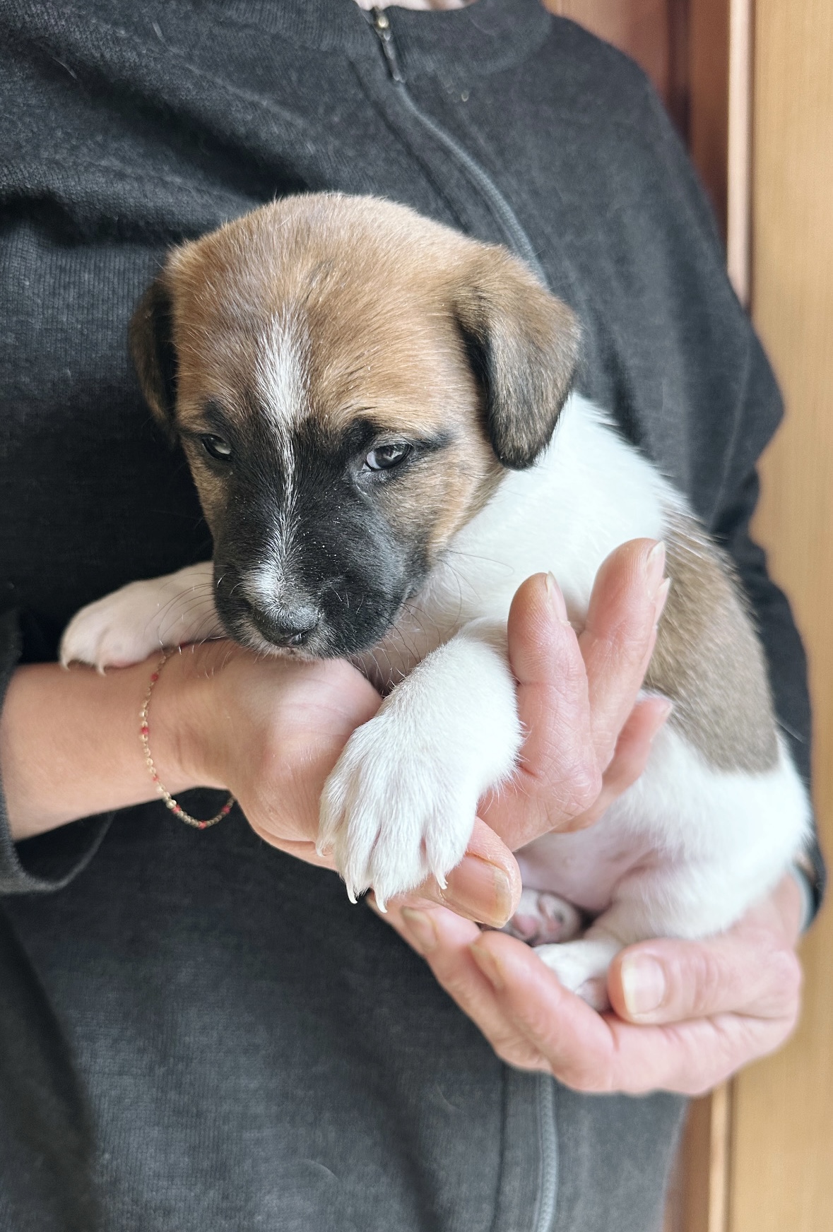 C1C7D552-A63F-40F9-8A2E-D1DAA83346E0