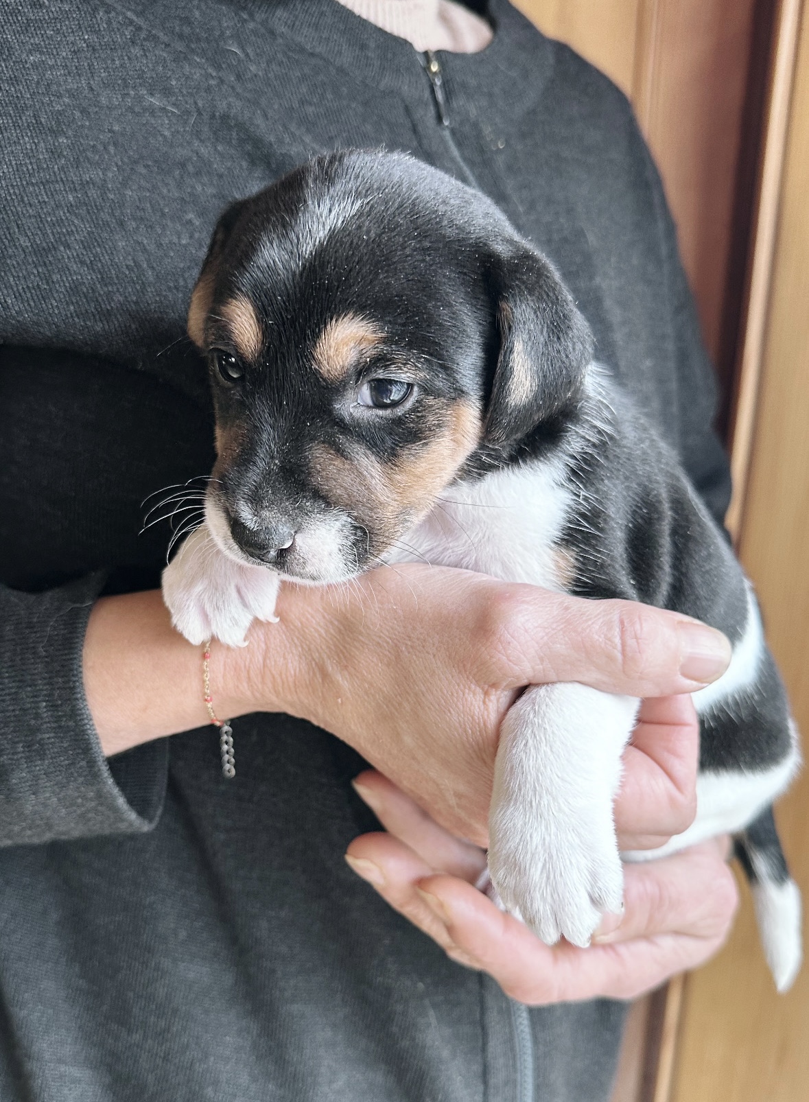 C7F395F0-1BA2-4682-8801-5F420E26480D