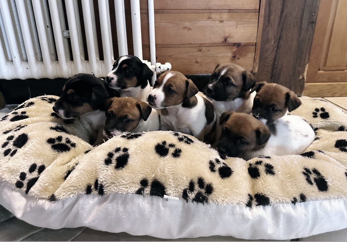 EA34093A-BE56-4AF8-953D-A7AAEBBDBAAC