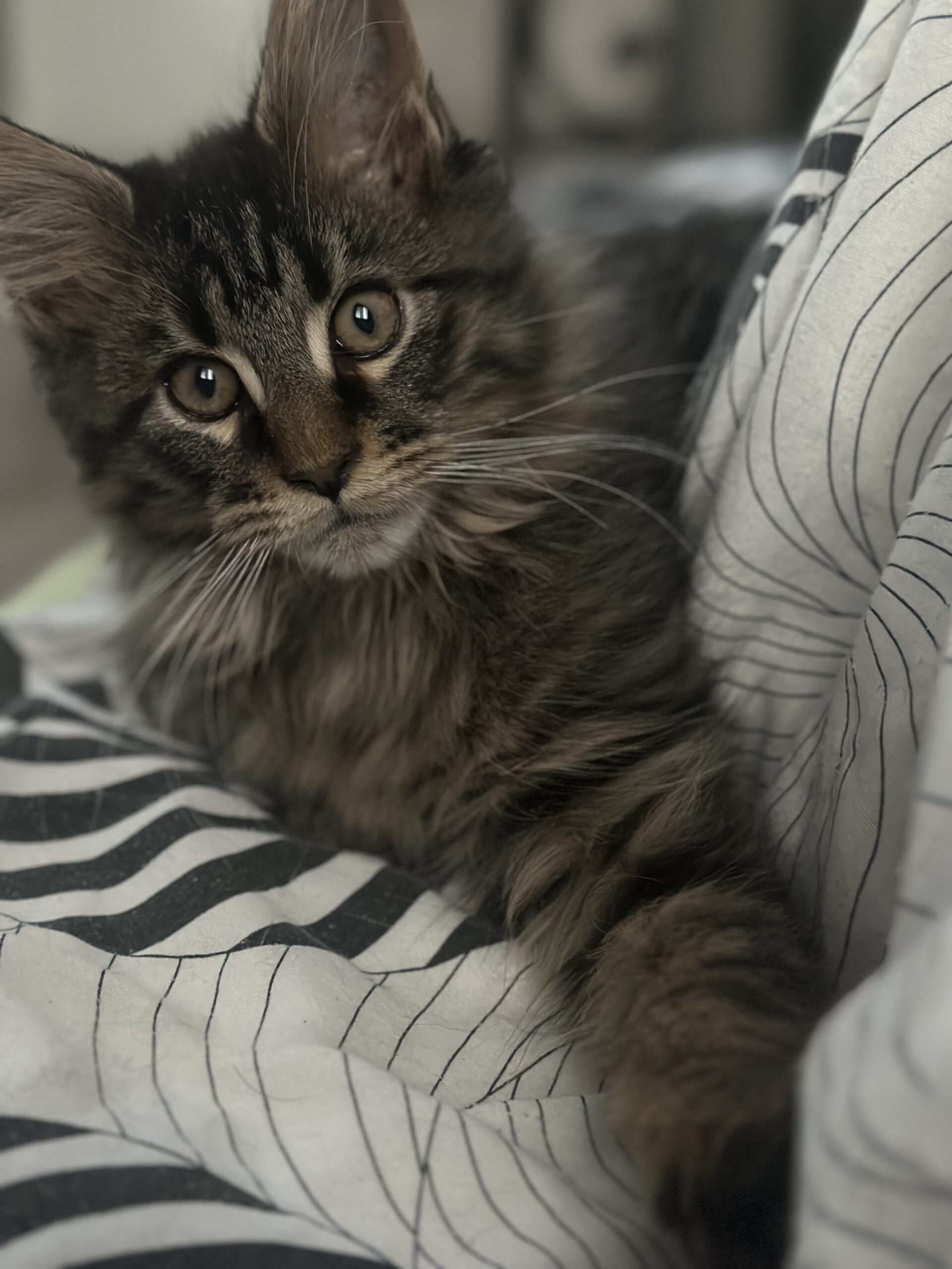 47F383B6-FE98-4604-B68F-2C7B7B1198A8