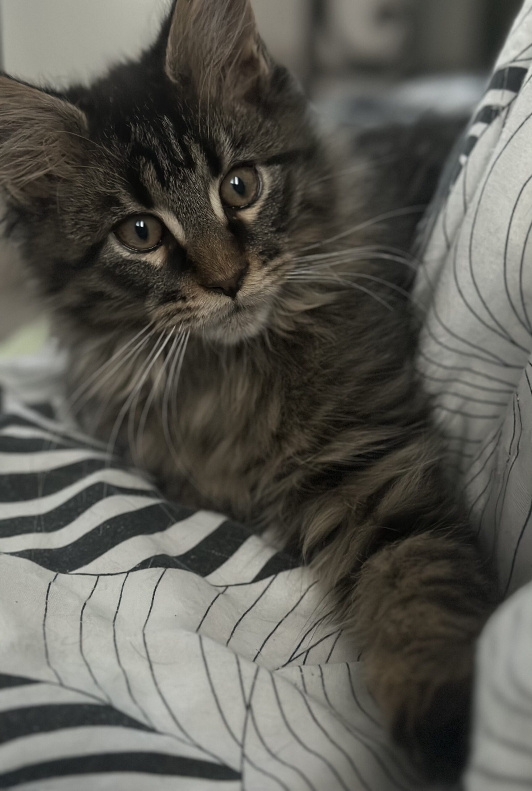 8AEAFE9A-C4A9-43B5-AC44-2C70C85AA582