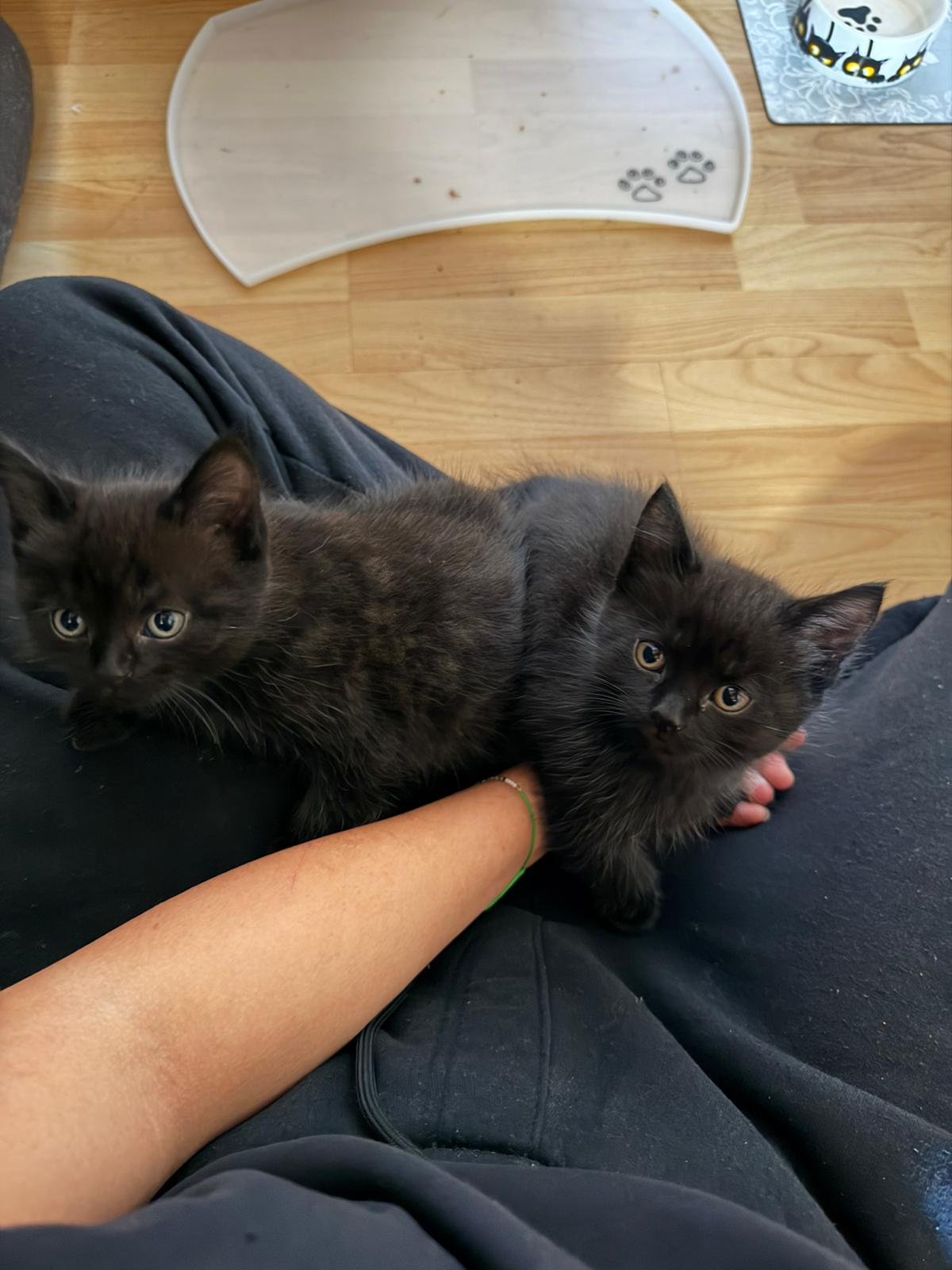 WhatsApp-Image-2025-11-12-at-19.32.32-3