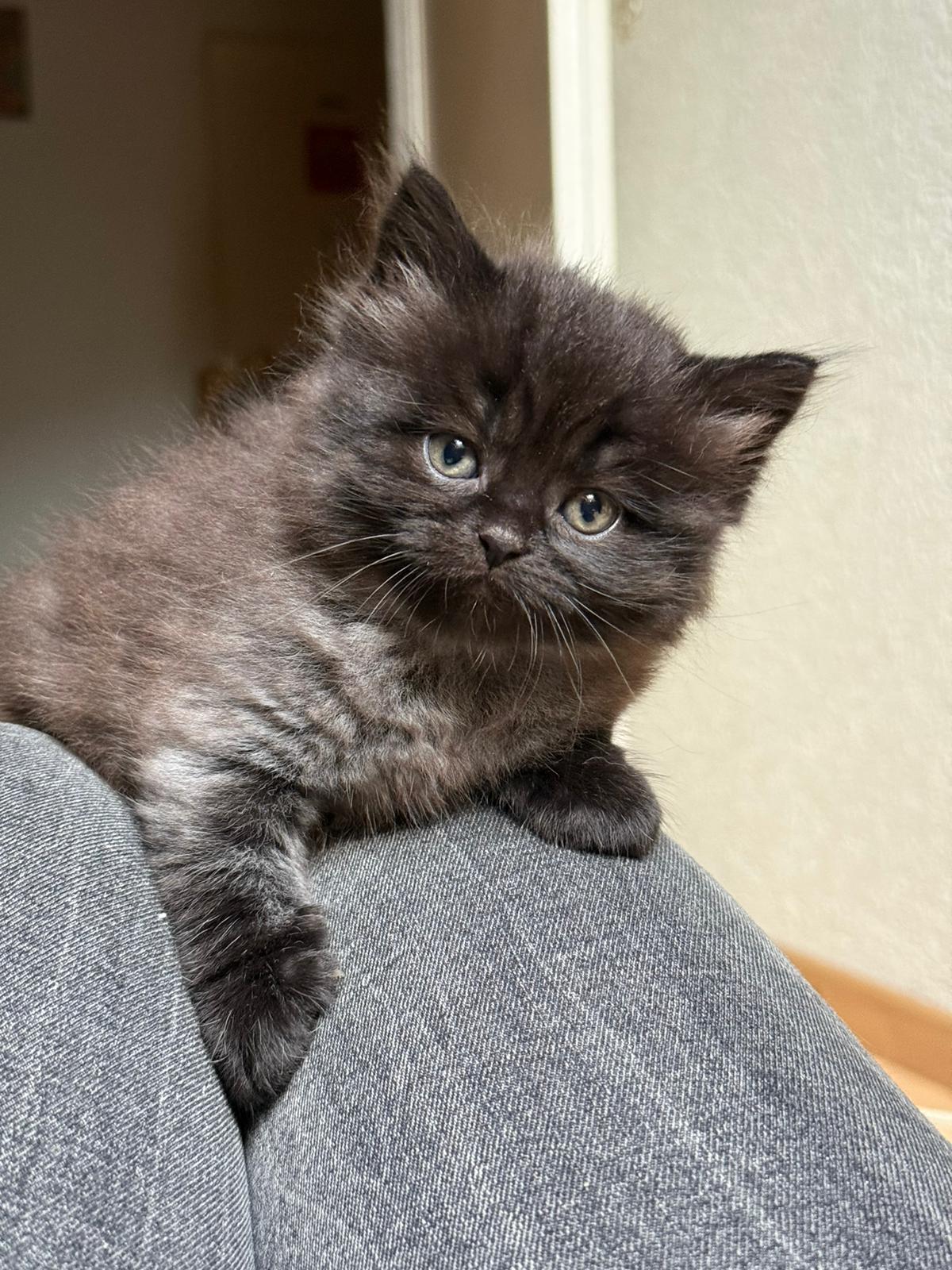 WhatsApp-Image-2025-11-12-at-19.32.32